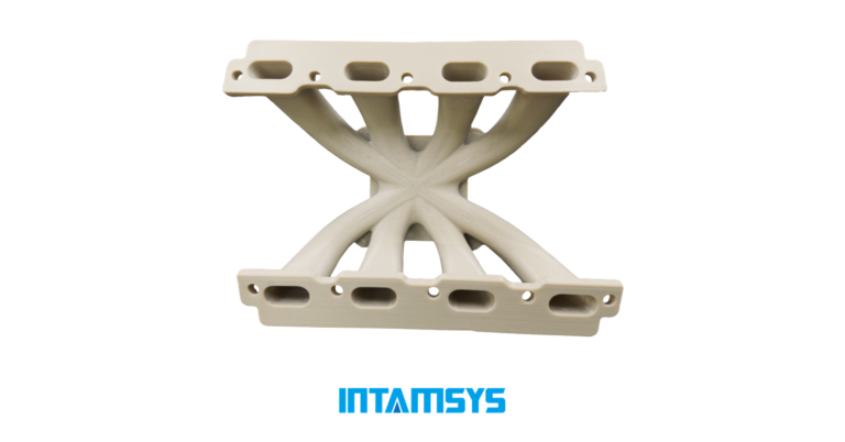 INTAMSYS 3D Printing Service